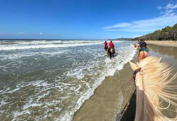 Horse trekking in the Bandite di Scarlino Natural Reserve