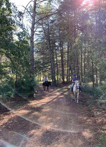 Passeggiata a cavallo di 2 ore nella Foresta Mercadante
