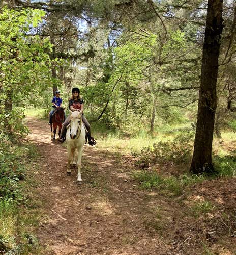 Passeggiata a cavallo di 2 ore nella Foresta Mercadante