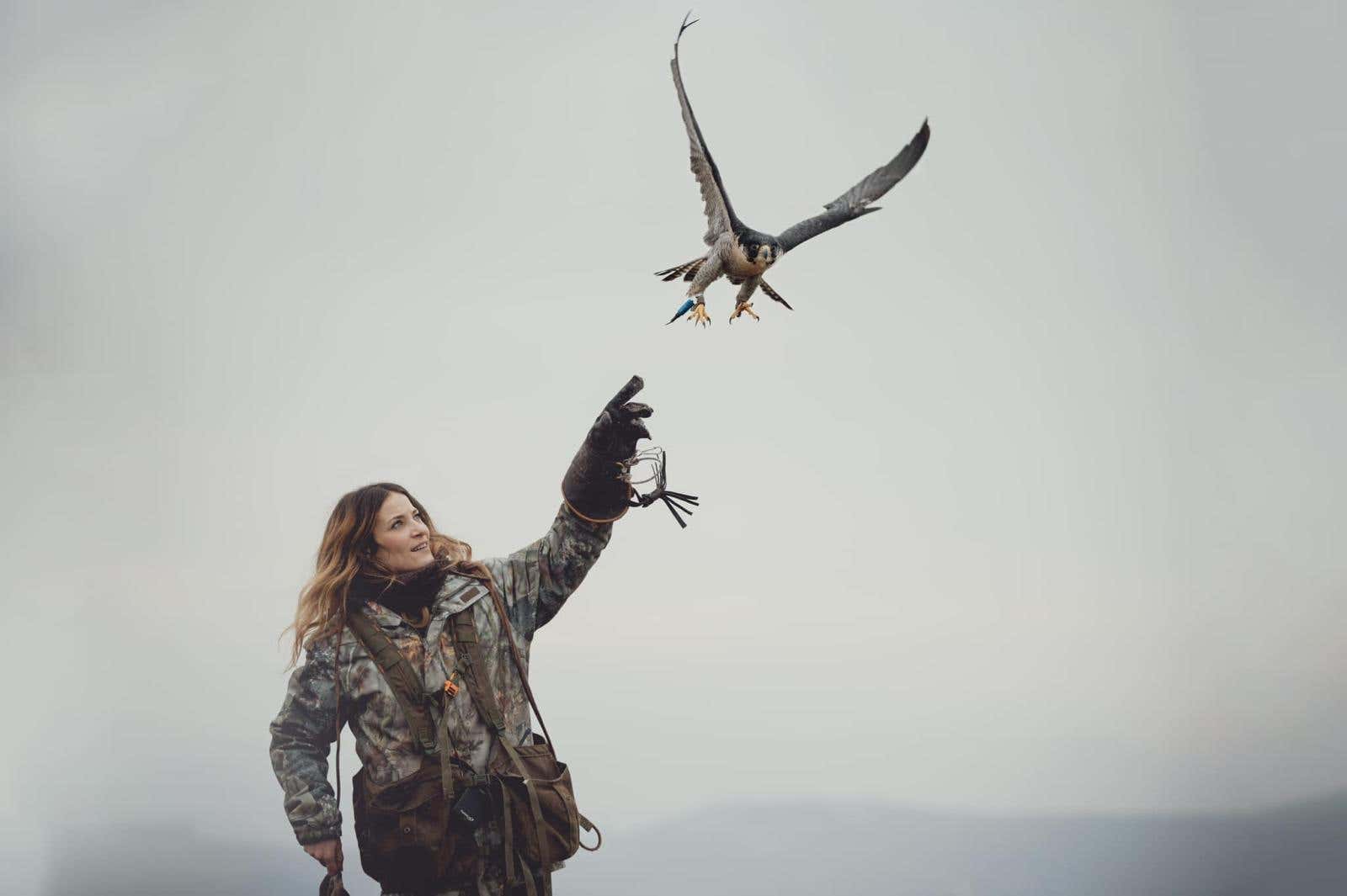 Falconiere per un giorno nell’Oltrepò Pavese