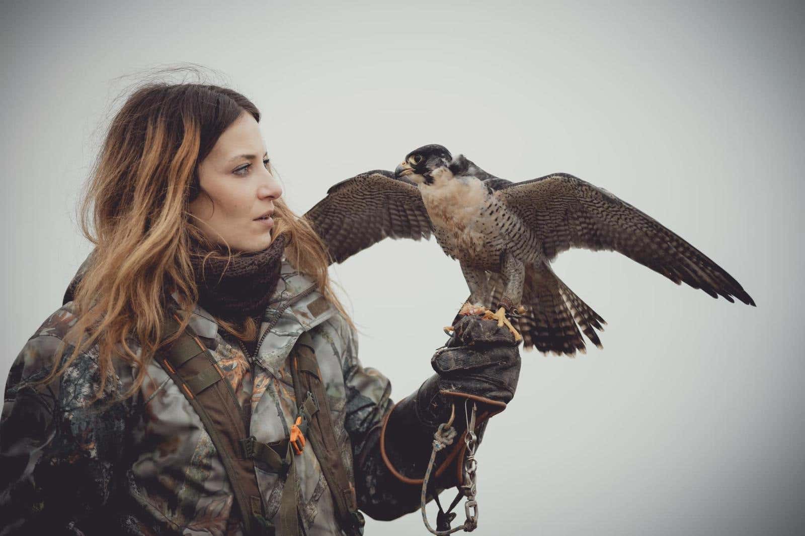 Passeggiata con rapace e introduzione alla falconeria nell’Oltrepò Pavese