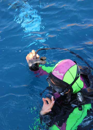 Discovery Scuba Diving in the La Maddalena Archipelago