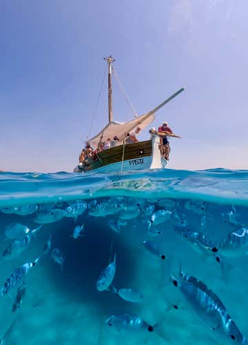 Sailing day in the Asinara National Park with lunch
