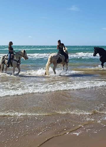 Horse riding on the beach at Santa Maria del Focallo