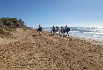 Horse riding on the beach at Santa Maria del Focallo