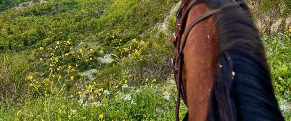 Horseback riding with aperitif in the province of Campobasso