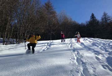La neve: che magia! Ciaspolata per famiglie a Bardonecchia