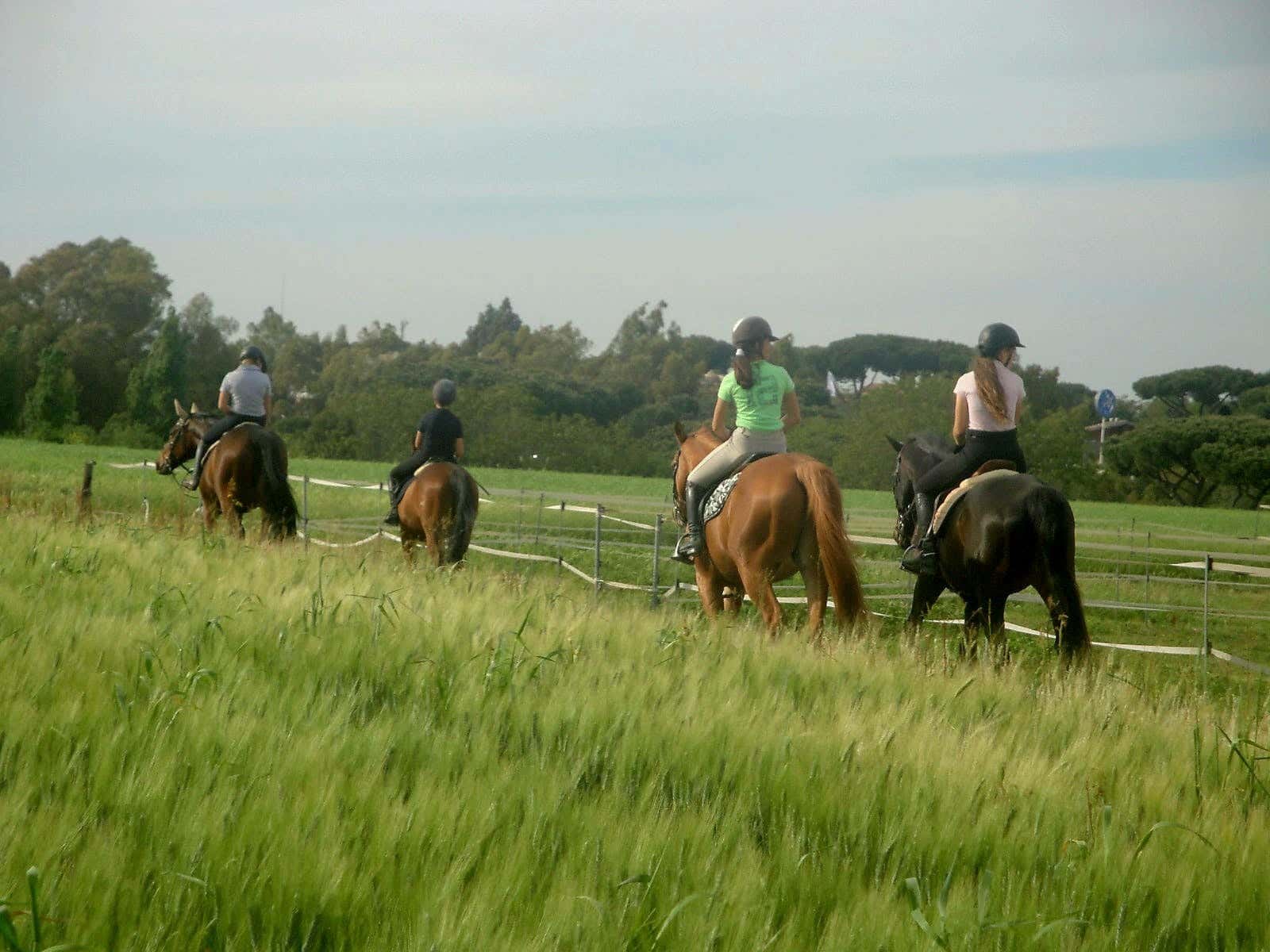 1-hour horse ride in the Appia Antica Park