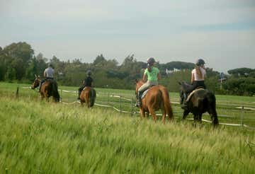 Passeggiata a cavallo di 1 ora nel Parco dell'Appia Antica