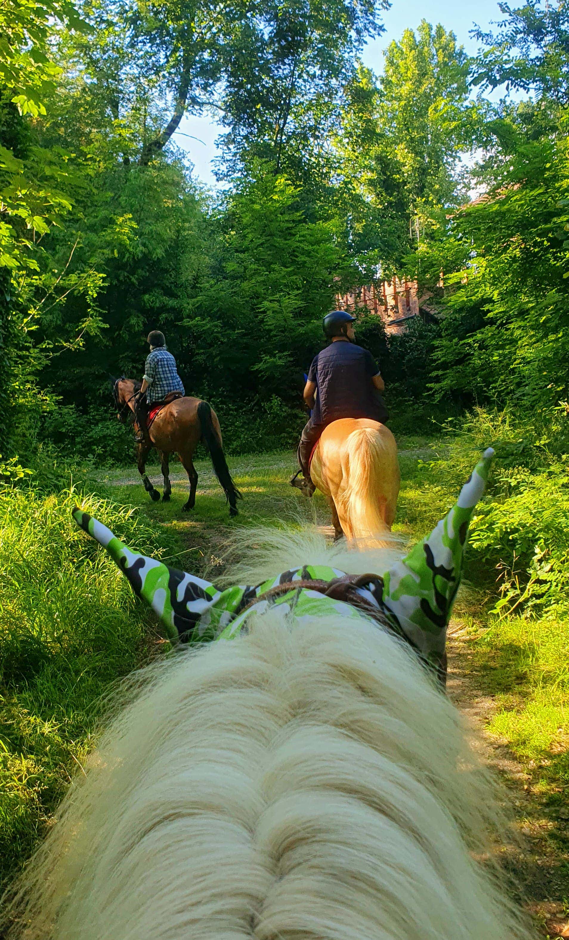 Maglietta Cuore Amore Cavallo - Design Equestre Per Cavalieri E Appassionati