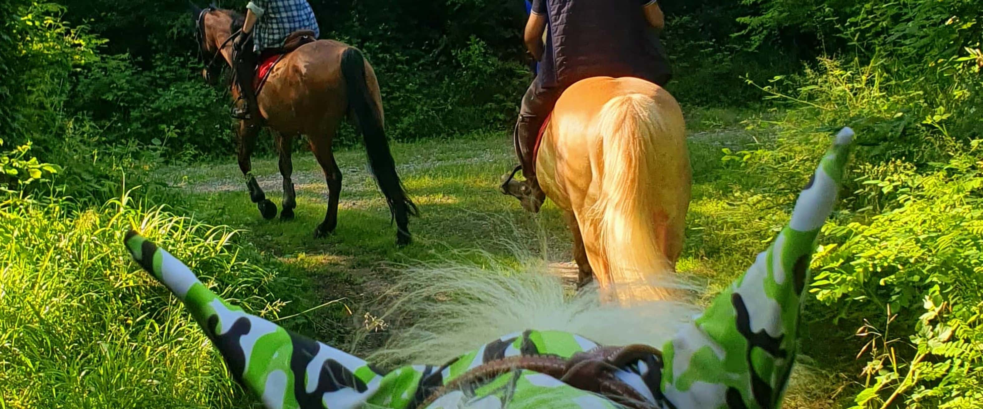 Maglietta Cuore Amore Cavallo - Design Equestre Per Cavalieri E Appassionati - Foto 1