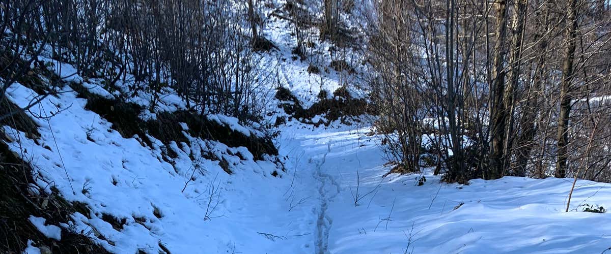 Horse riding in the snow in Lurisia