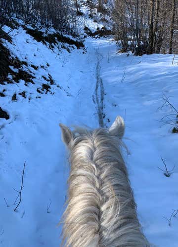 Horse riding in the snow in Lurisia