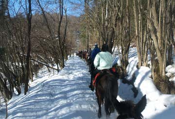 Horse riding in the snow in Lurisia