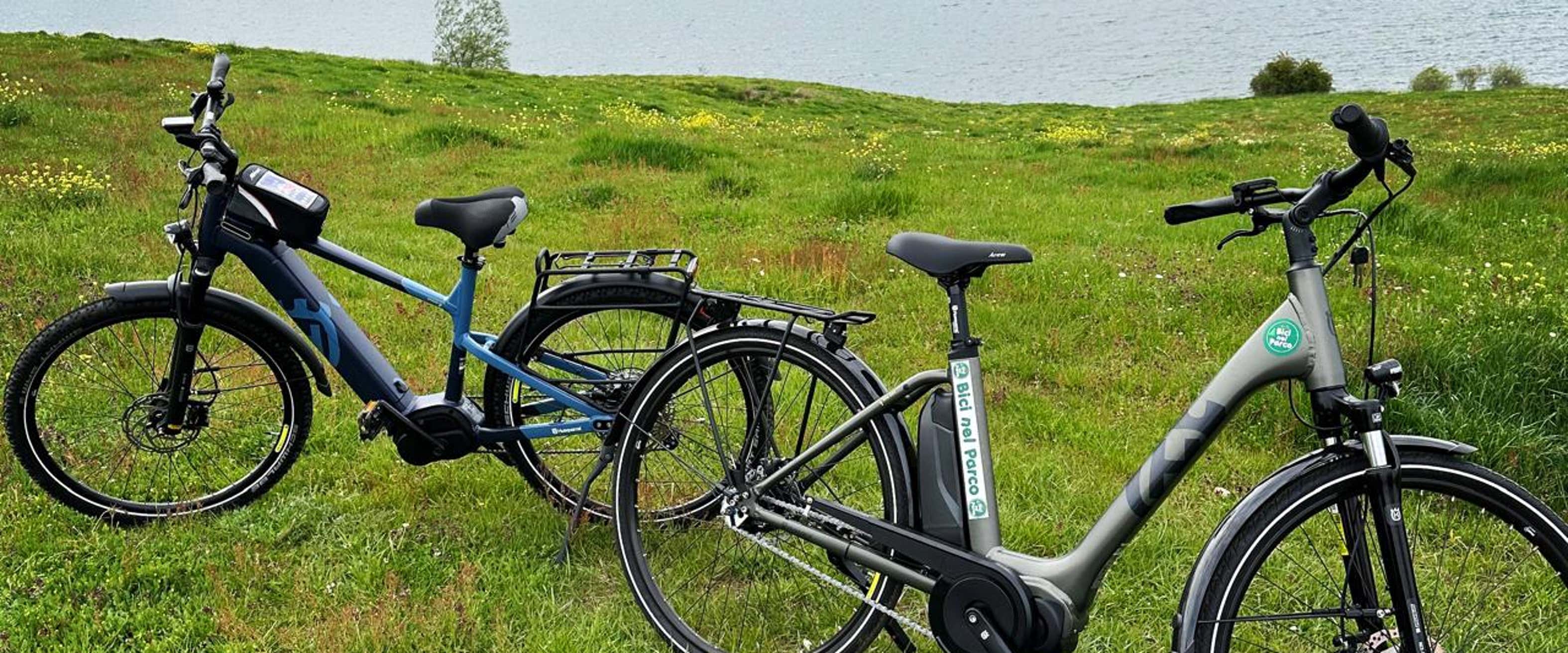 Mountain Bike Bicicletto Electric Bicycle Ebike Mountain Bike Momo