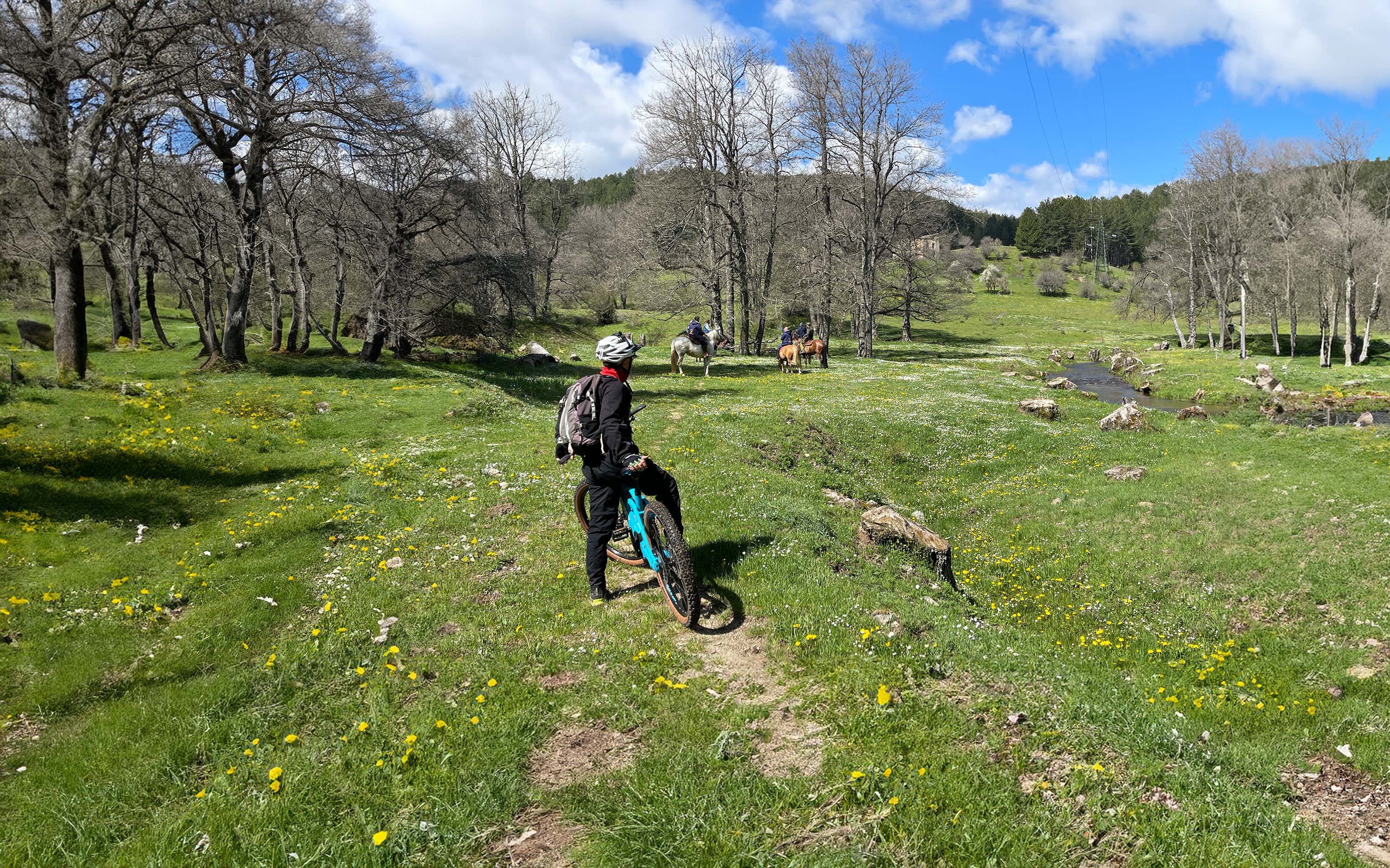 E-bike tour in the Sila forests