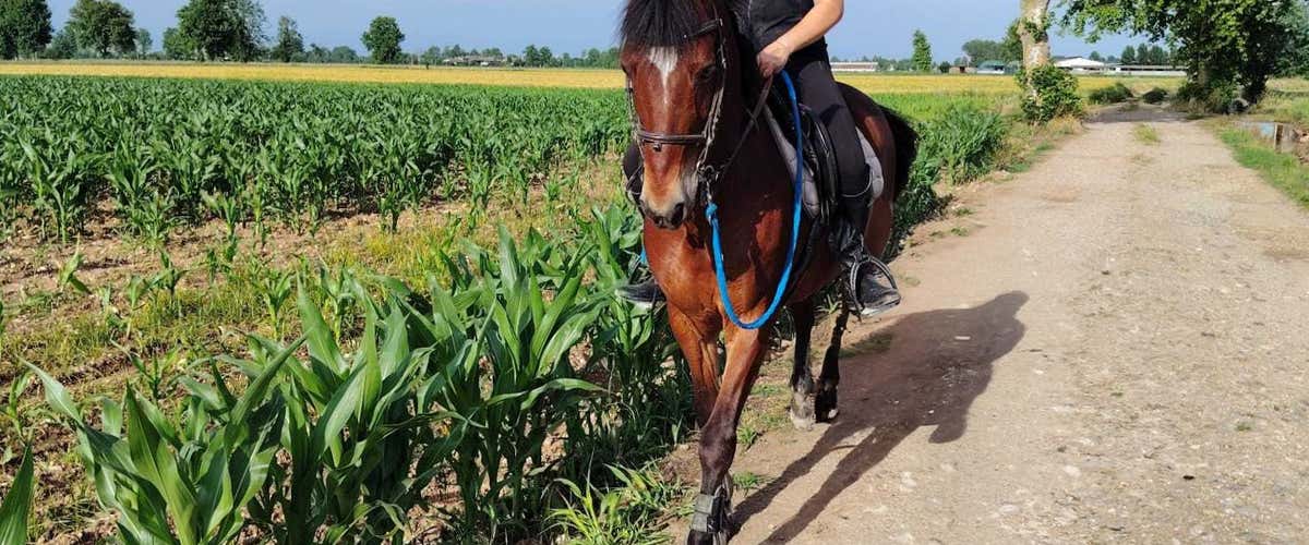 Passeggiata a cavallo in provincia di Bergamo con aperitivo