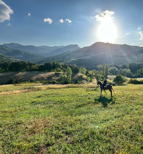 Passeggiata a cavallo panoramica sui colli bolognesi