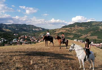 One-hour horseback ride near Bologna