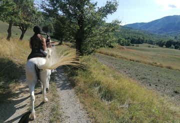 One-hour horseback ride near Bologna