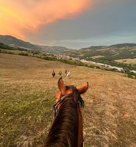 One-hour horseback ride near Bologna