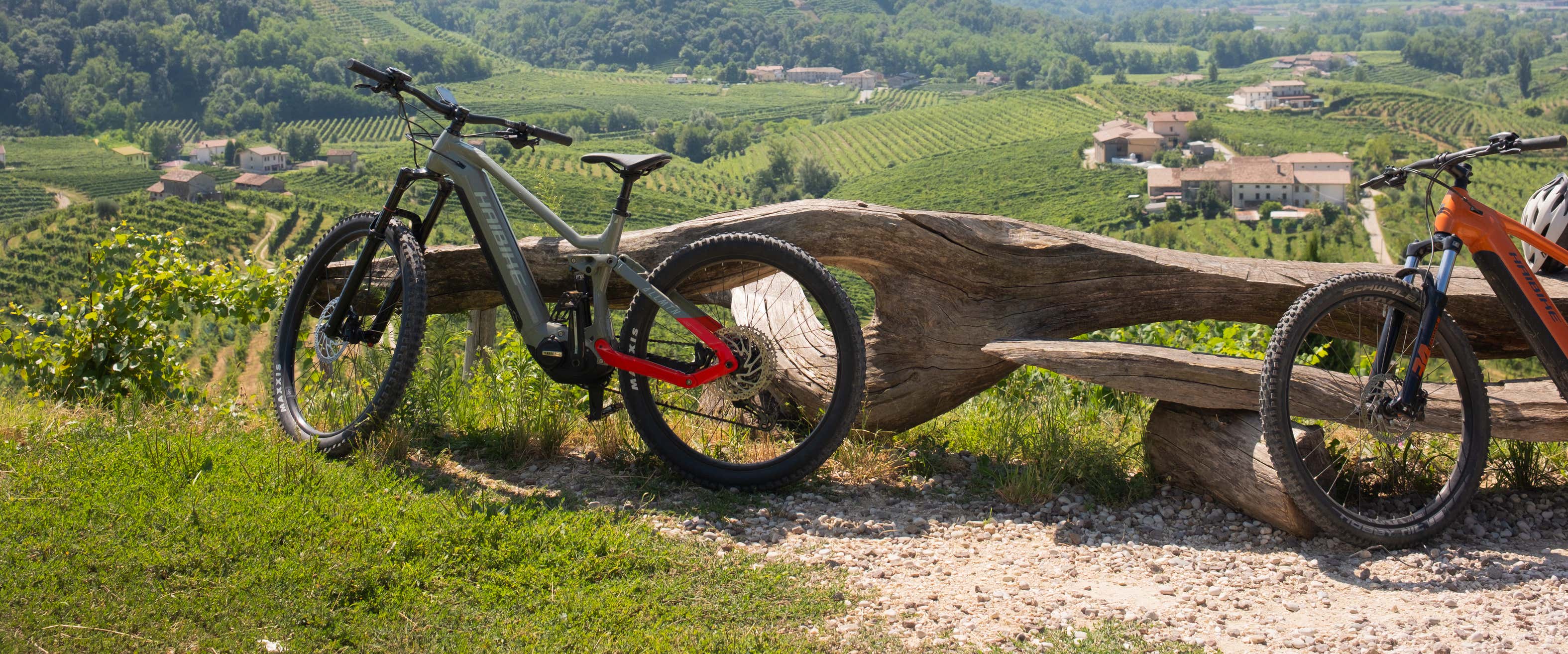 Noleggio e-bike a Cornuda tra le colline del Prosecco Freedome