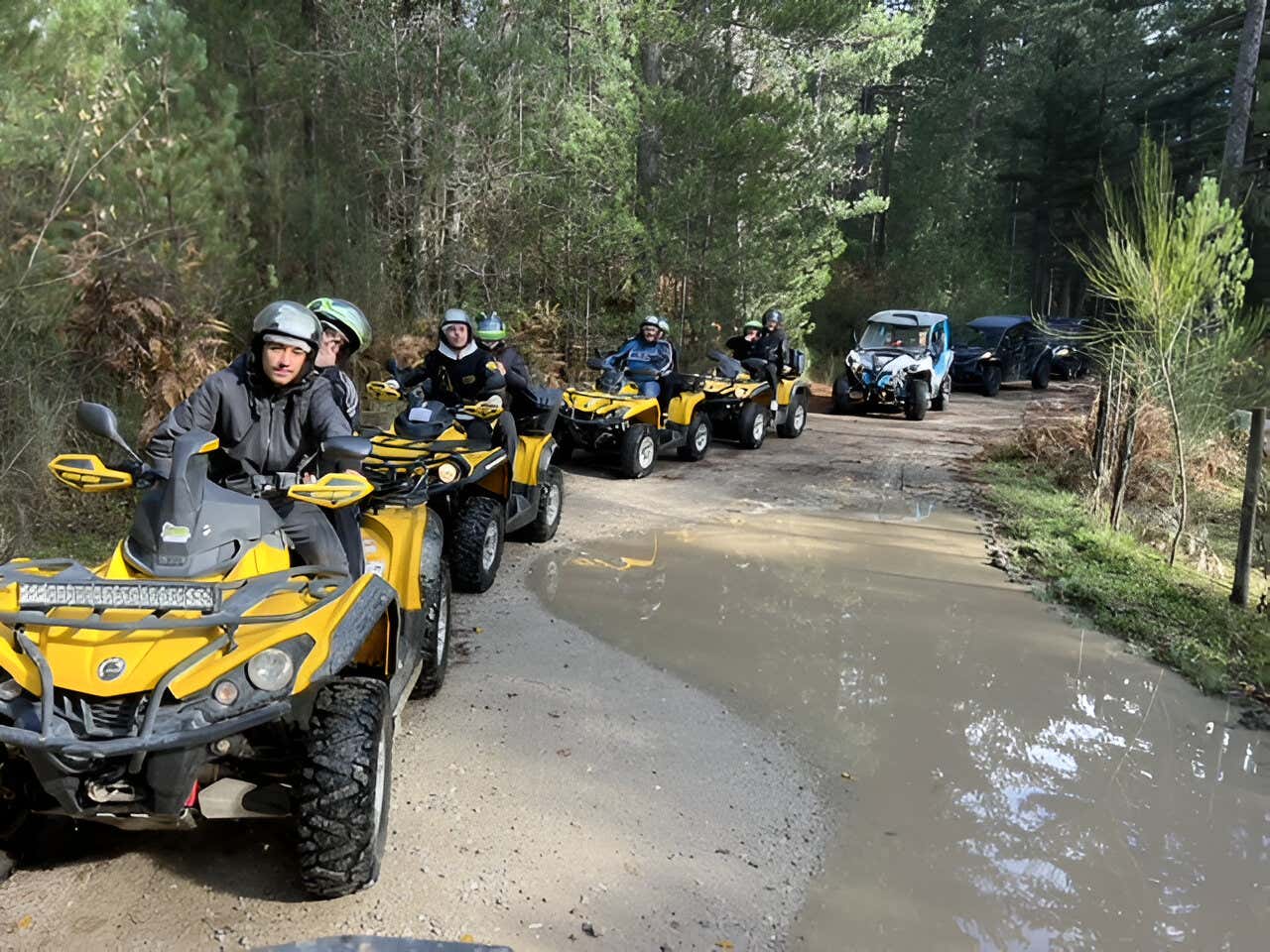 Quad adventure in Sila National Park with lunch