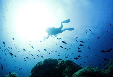 Sea Baptism in the Tavolara Marine Protected Area