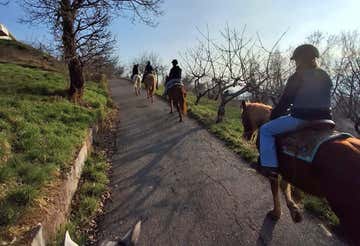 Passeggiata a cavallo di 1 ora in provincia di Verona