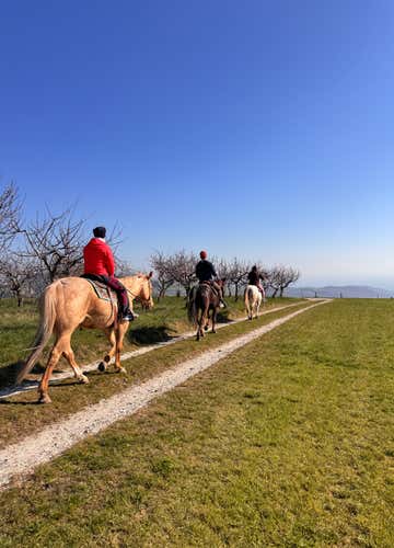 Passeggiata a cavallo di 1 ora in provincia di Verona
