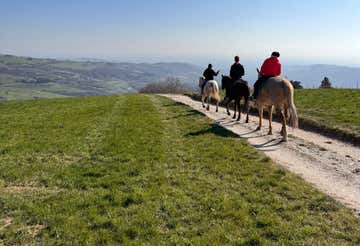 Passeggiata a cavallo di 1 ora in provincia di Verona con aperitivo tipico