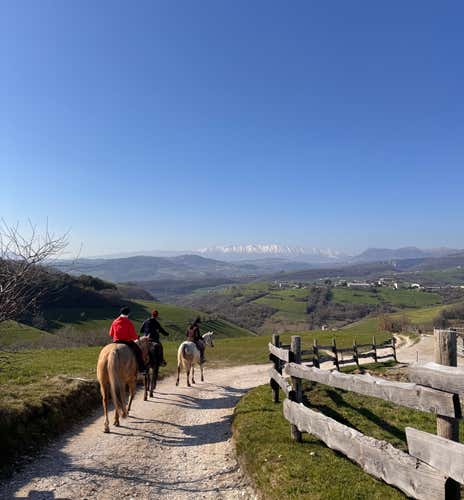 Passeggiata a cavallo di 1 ora in provincia di Verona