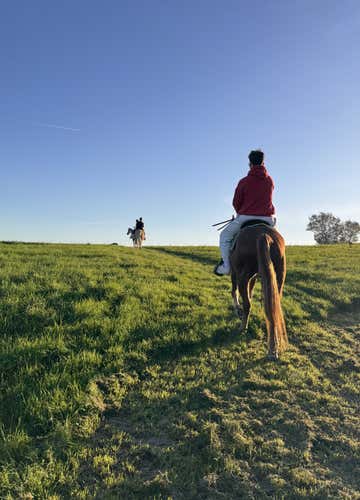 Passeggiata a cavallo di 1 ora in provincia di Verona con aperitivo tipico