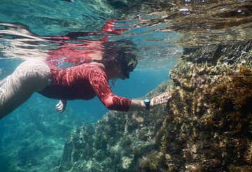 Snorkelling tour in Portofino in the Bay of Paraggi