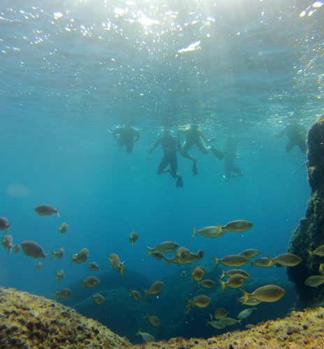Snorkelling tour in Portofino in the Bay of Paraggi
