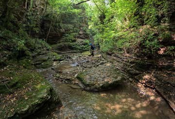 Canyoning sport sul Rio Bars a Ponte nelle Alpi