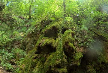 Canyoning sport sul Rio Bars a Ponte nelle Alpi