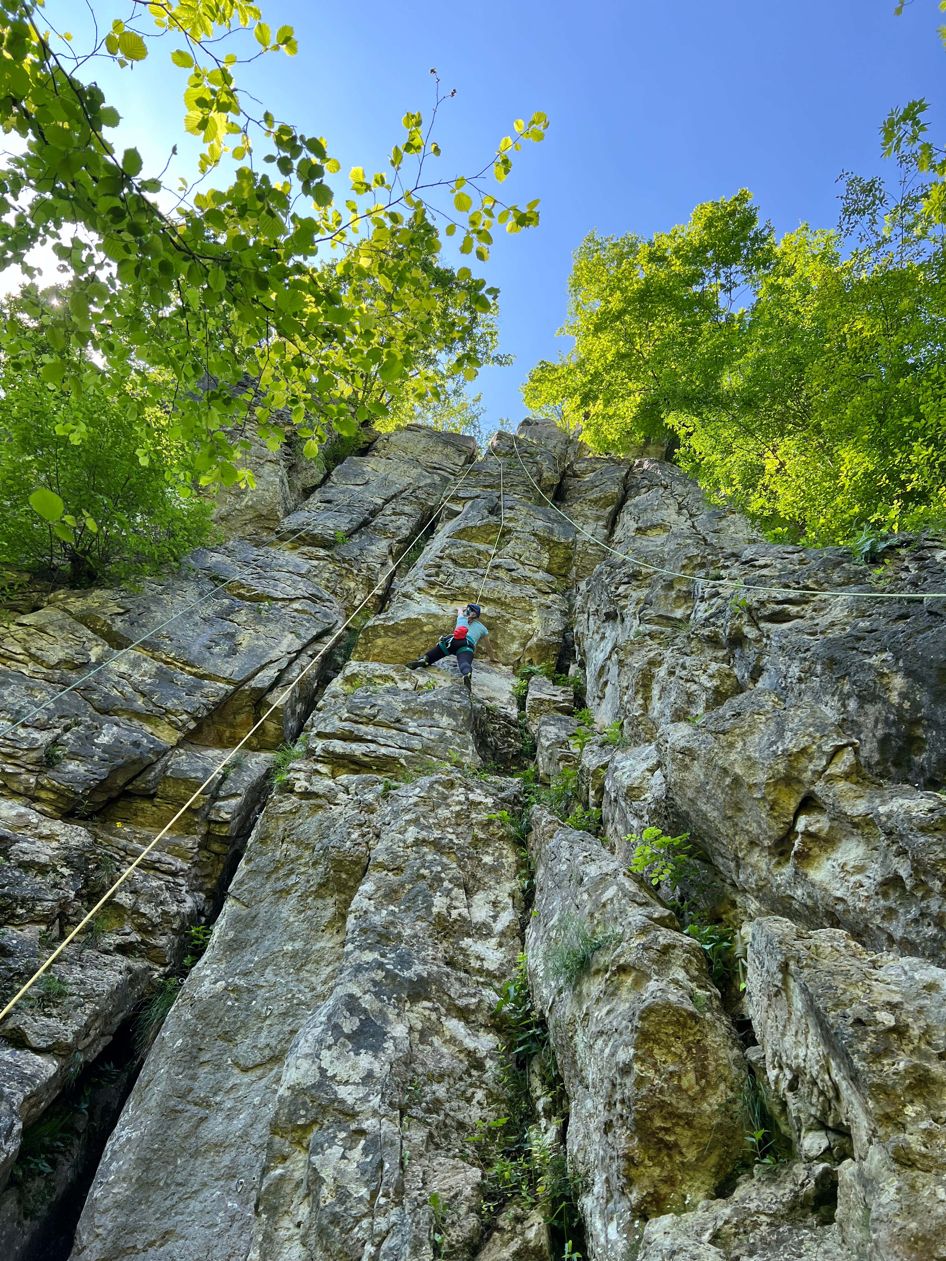 Arrampicata alla falesia di Rocca Pendice in provincia di Padova