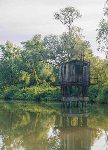 Boat trip on the Po di Maistra in the Po Delta Park