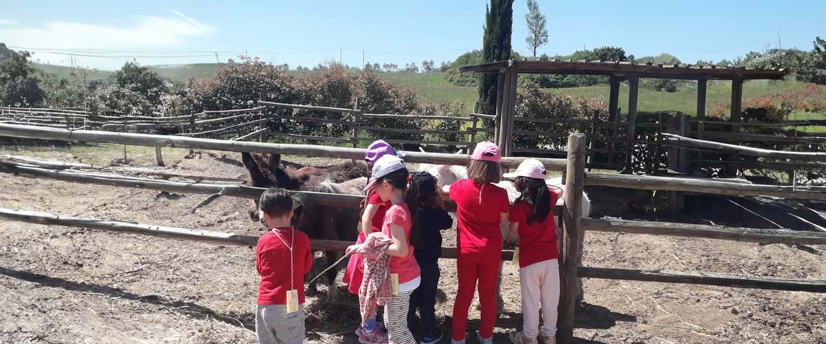 Esperienza in fattoria didattica per bambini vicino a Firenze
