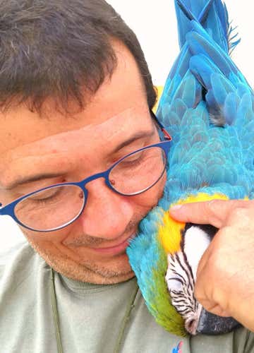 Parrot Experience nell'Oltrepò Pavese