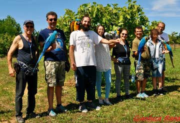 Passeggiata esotica con i pappagalli nell'Oltrepò Pavese