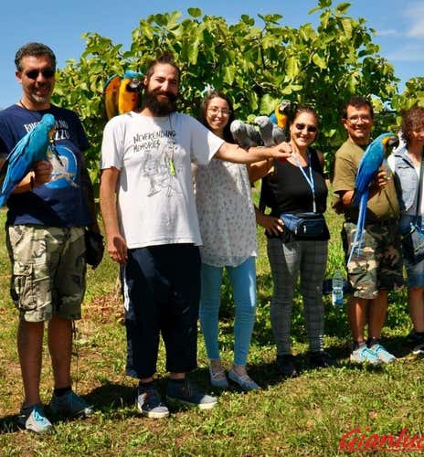 Parrot Experience nell'Oltrepò Pavese