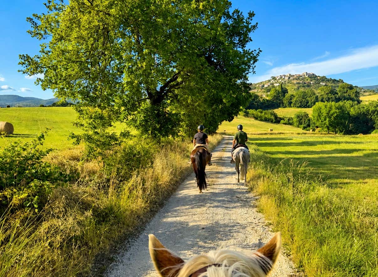Passeggiata a cavallo nella natura di Castelnuovo di Farfa e degustazione