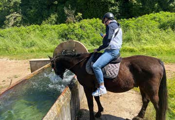2-hour horseback ride in Palestrina