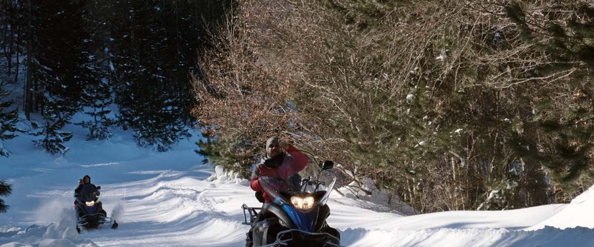 Tour in motoslitta nel Parco Nazionale della Sila