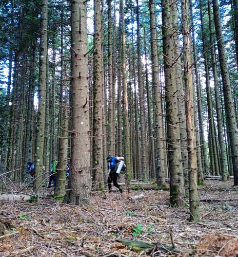 2-day survival course in Bagno di Romagna