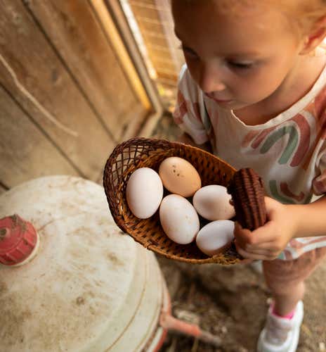 Visita guidata in fattoria e merenda di nocciole in provincia di Asti