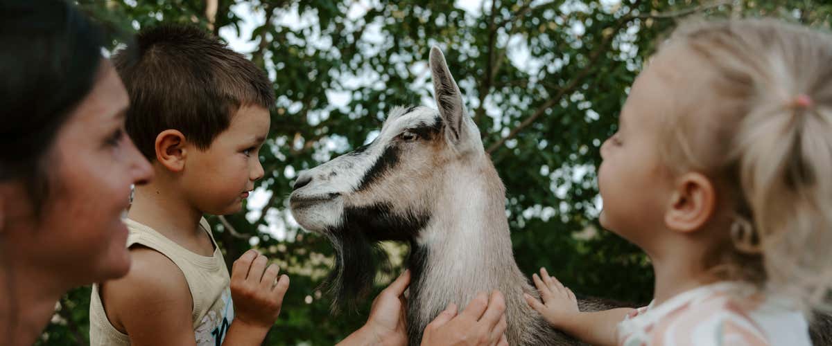 Visita guidata in fattoria e merenda di nocciole in provincia di Asti