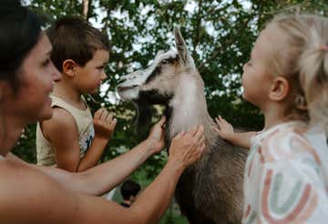 Visita guidata in fattoria e merenda di nocciole in provincia di Asti